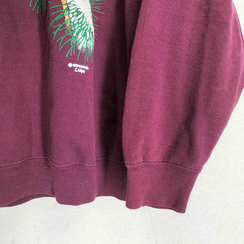 ヘインズ Hanes 80-90S USA製 リスプリント ラグランスリーブ クルーネックスウェット レディース import:M